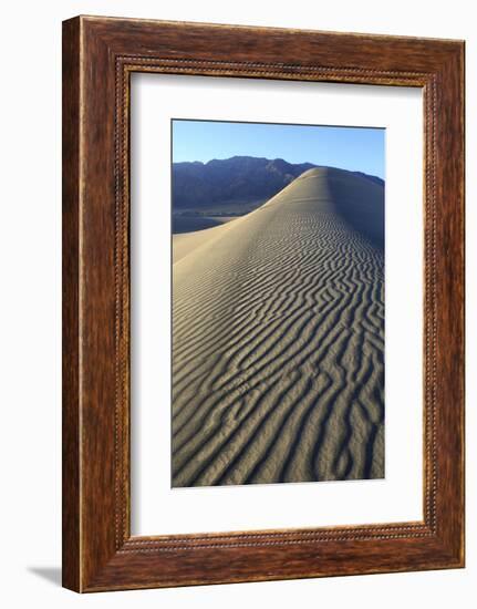Patterns Along the Sand Dunes, Mesquite Dunes, Death Valley NP-James White-Framed Photographic Print
