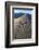 Patterns Along the Sand Dunes, Mesquite Dunes, Death Valley NP-James White-Framed Photographic Print