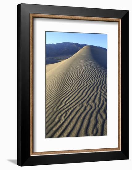 Patterns Along the Sand Dunes, Mesquite Dunes, Death Valley NP-James White-Framed Photographic Print