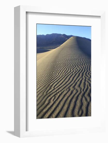 Patterns Along the Sand Dunes, Mesquite Dunes, Death Valley NP-James White-Framed Photographic Print