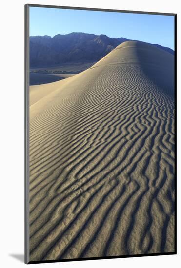 Patterns Along the Sand Dunes, Mesquite Dunes, Death Valley NP-James White-Mounted Photographic Print
