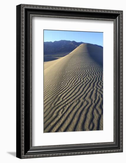 Patterns Along the Sand Dunes, Mesquite Dunes, Death Valley NP-James White-Framed Photographic Print