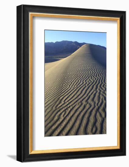 Patterns Along the Sand Dunes, Mesquite Dunes, Death Valley NP-James White-Framed Photographic Print