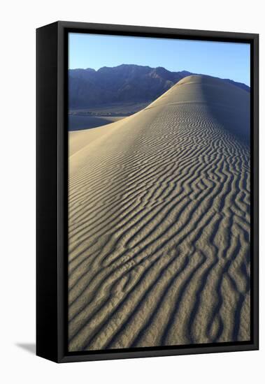 Patterns Along the Sand Dunes, Mesquite Dunes, Death Valley NP-James White-Framed Premier Image Canvas