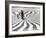 Patterns at Pavilion Terrace at Fair in Montreal-Michael Rougier-Framed Photographic Print