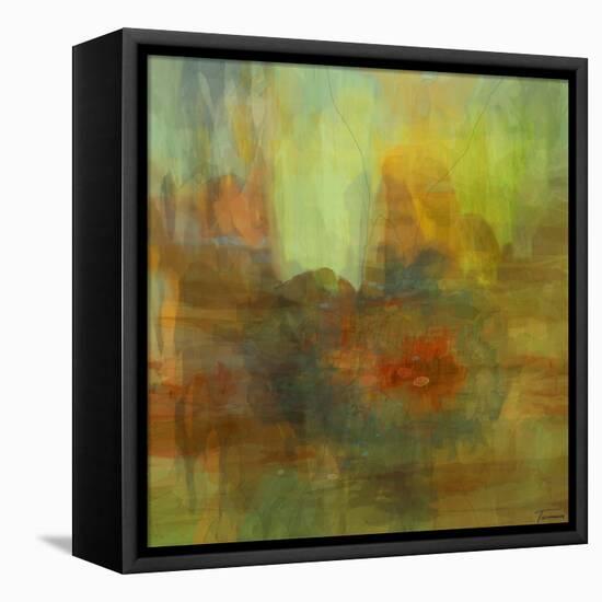 Patterns II-Michael Tienhaara-Framed Stretched Canvas