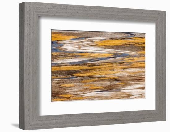 Patterns in bacterial mat around Grand Prismatic spring, Yellowstone National Park.-Adam Jones-Framed Photographic Print