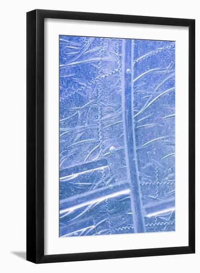 Patterns in Glass I-Kathy Mahan-Framed Photo