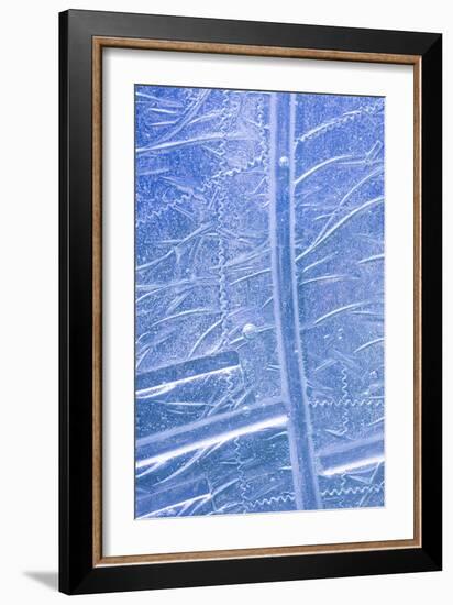 Patterns in Glass I-Kathy Mahan-Framed Photo