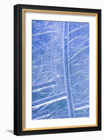 Patterns in Glass I-Kathy Mahan-Framed Photo