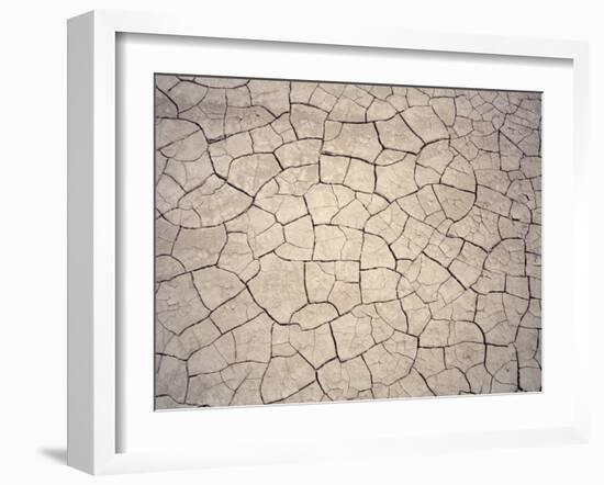 Patterns in Mud Cracks in Drought Area-James Gritz-Framed Photographic Print