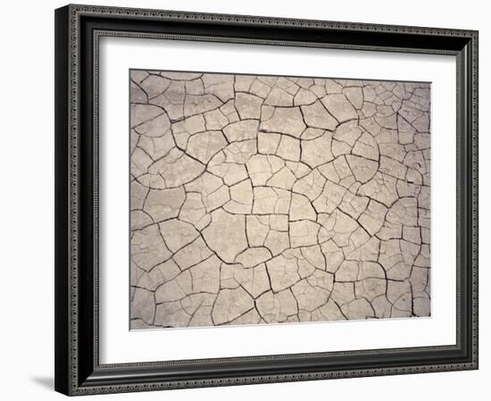 Patterns in Mud Cracks in Drought Area-James Gritz-Framed Photographic Print