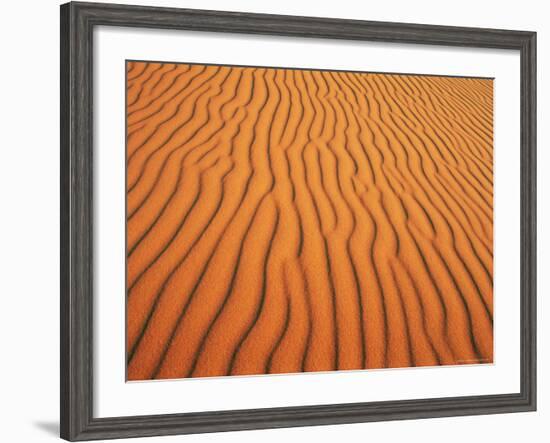 Patterns in Sand Dunes in Erg Chebbi Sand Sea, Sahara Desert, Near Merzouga, Morocco-Lee Frost-Framed Photographic Print
