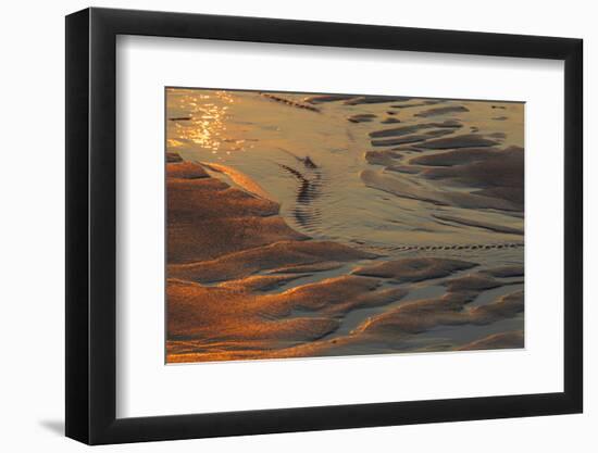 Patterns in the Sand at Coast Guard Beach in the Cape Cod National Seashore-Jerry and Marcy Monkman-Framed Photographic Print