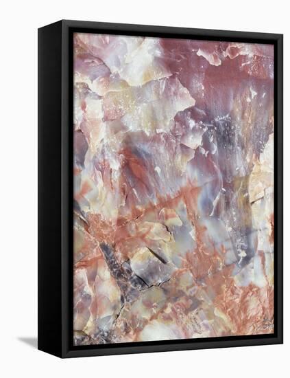 Patterns of a Petrified Rock Formation. Petrified Forest National Park-Christopher Talbot Frank-Framed Premier Image Canvas