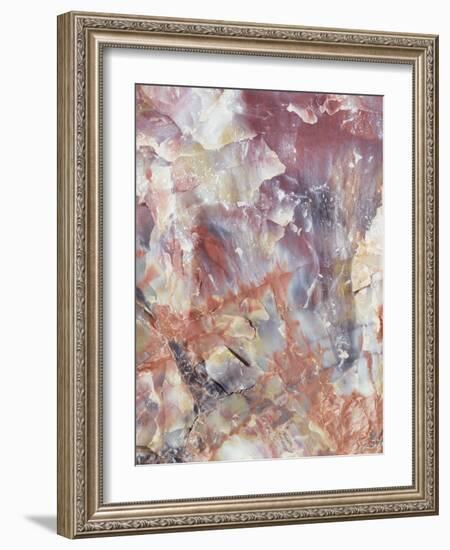 Patterns of a Petrified Rock Formation. Petrified Forest National Park-Christopher Talbot Frank-Framed Photographic Print