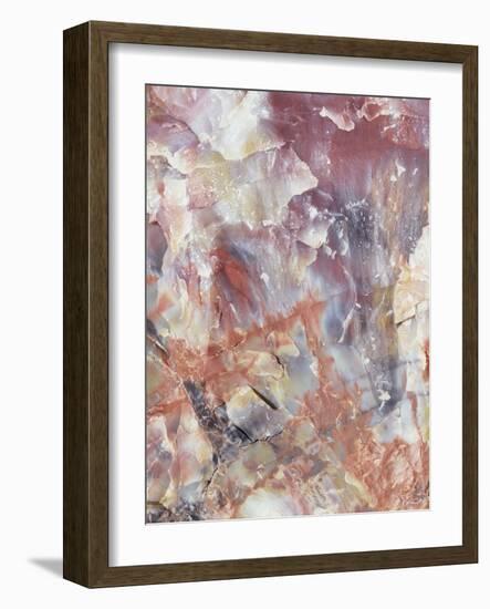 Patterns of a Petrified Rock Formation. Petrified Forest National Park-Christopher Talbot Frank-Framed Photographic Print