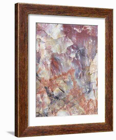 Patterns of a Petrified Rock Formation. Petrified Forest National Park-Christopher Talbot Frank-Framed Photographic Print