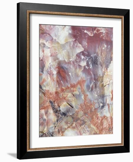 Patterns of a Petrified Rock Formation. Petrified Forest National Park-Christopher Talbot Frank-Framed Photographic Print