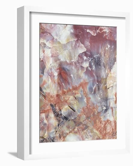 Patterns of a Petrified Rock Formation. Petrified Forest National Park-Christopher Talbot Frank-Framed Photographic Print