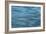 Patterns On Water-Anthony Paladino-Framed Giclee Print