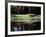 Patterson Golf Course, Failfield, Connecticut, USA-null-Framed Photographic Print