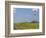 Patterson Uti Oil Drilling Rig Along Highway 200 West of Killdeer, North Dakota, USA-David R. Frazier-Framed Photographic Print