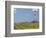 Patterson Uti Oil Drilling Rig Along Highway 200 West of Killdeer, North Dakota, USA-David R. Frazier-Framed Photographic Print