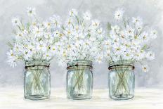 Daisies In Jars 4-Patti Bishop-Art Print