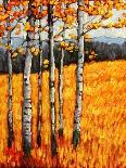 Autumn Aspens at Winter Park, Colorado-Patty Baker-Art Print