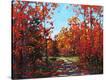 Stretched Canvas Print