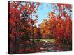 Stretched Canvas Print