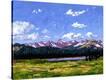 Stretched Canvas Print