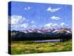 Stretched Canvas Print