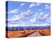 Stretched Canvas Print