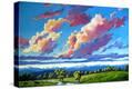 Stretched Canvas Print