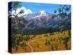 Stretched Canvas Print