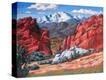 Stretched Canvas Print