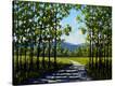 Stretched Canvas Print
