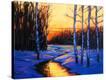 Stretched Canvas Print