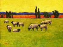 Sunset Oak-Patty Baker-Art Print