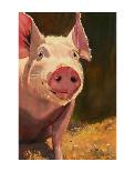 Some Pig-Patty Voje-Framed Art Print