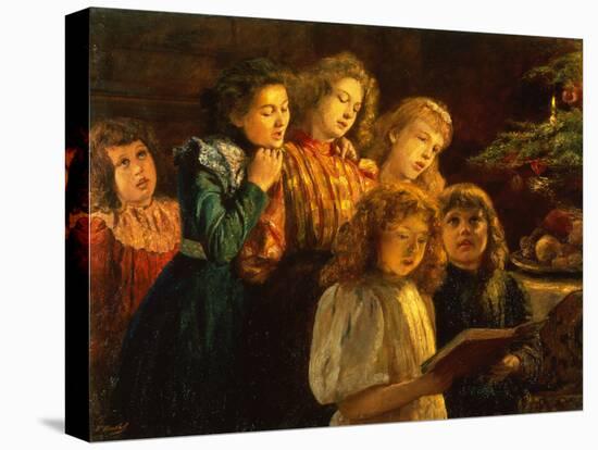 Stretched Canvas Print, , large