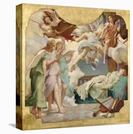 Stretched Canvas Print, , large
