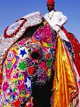 Entrant in Best Dressed Elephant Competition at Annual Elephant Festival, Jaipur, India-Paul Beinssen-Premier Image Canvas