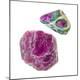 Premium Photographic Print