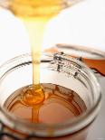Organic Honey Running into a Honey Jar-Paul Blundell-Photographic Print