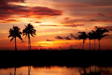 Tropical Sunset with Palm Trees-Paul Brady-Laminated Photographic Print