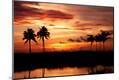 Photographic Print