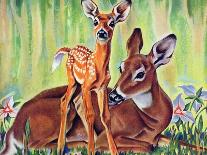 "Doe and Fawn in Forest," June 1, 1940-Paul Bransom-Giclee Print
